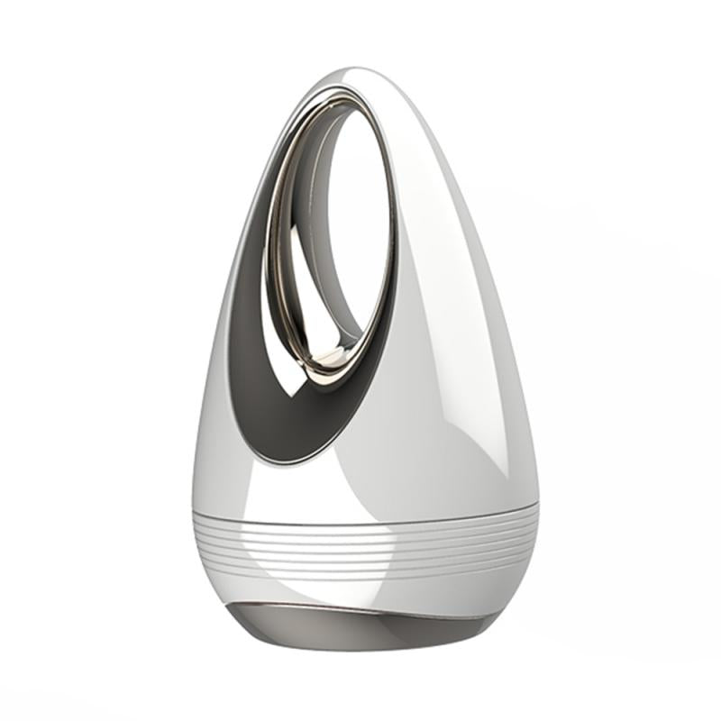 Handheld Facial Massage & Skincare Absorption Device