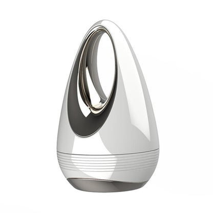 Handheld Facial Massage & Skincare Absorption Device