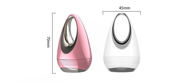 Handheld Facial Massage & Skincare Absorption Device